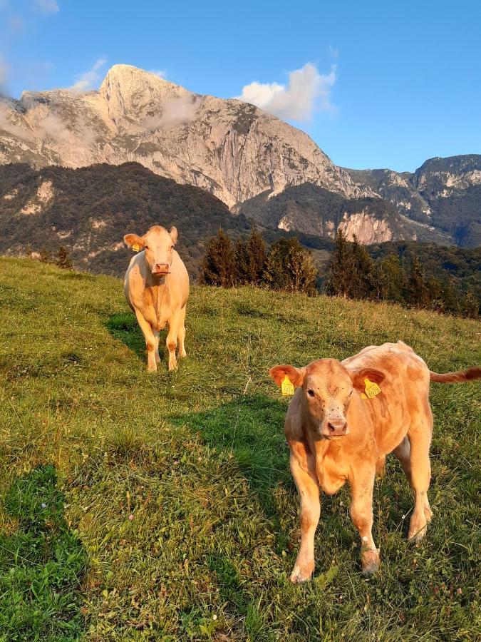 Tourist Farm Zvanc Kobarid Esterno foto