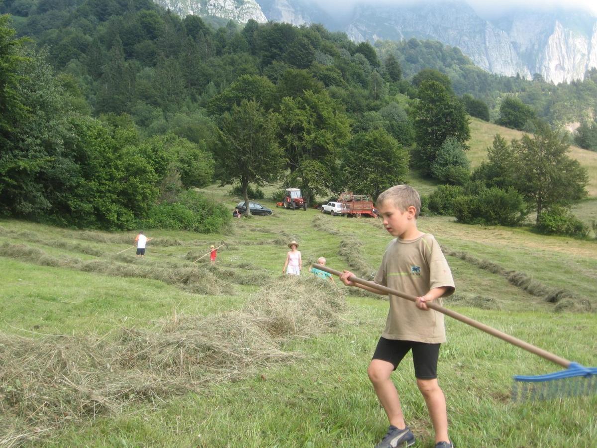 Tourist Farm Zvanc Kobarid Esterno foto