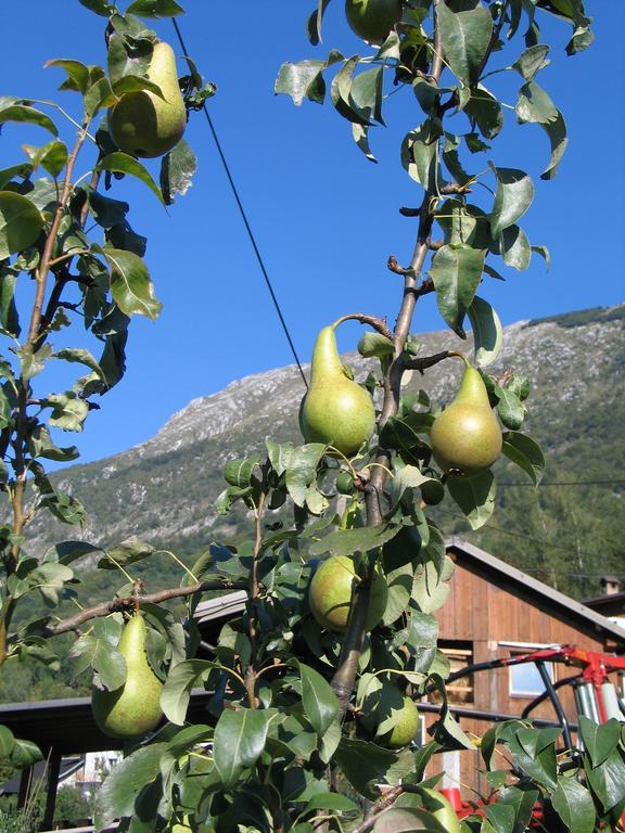 Tourist Farm Zvanc Kobarid Esterno foto